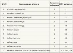 Перечисленные кабинеты приспособлены для проведения практических занятий с детьми с ОВЗ, в том числе для обучающихся с ЗПР